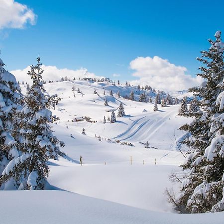 Chalet Anelie Happy Rentals Лез-Уш Экстерьер фото
